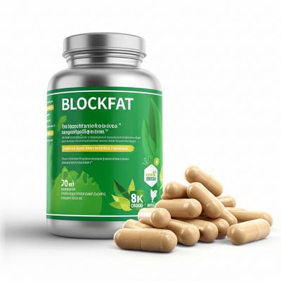 BlockFat Funciona? Review Completa + Benefícios [Guia]