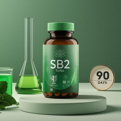 SB2 Turbo Funciona? Review Definitivo e Análise Sincera de 2026